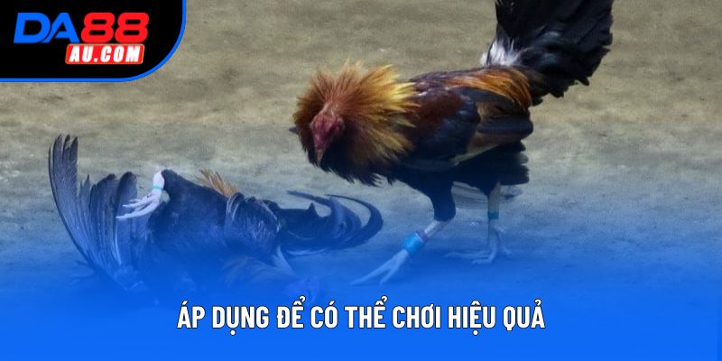 Áp dụng để có thể chơi hiệu quả