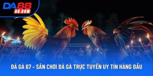 Đá Gà 67 – Sân Chơi Đá Gà Trực Tuyến Uy Tín Hàng Đầu