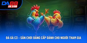 Đá Gà C3 – Sân Chơi Đẳng Cấp Dành Cho Người Tham Gia