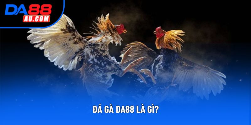 Đá gà DA88 là gì? Đá gà DA88 là gì?