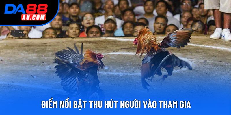 Điểm nổi bật thu hút người vào tham gia