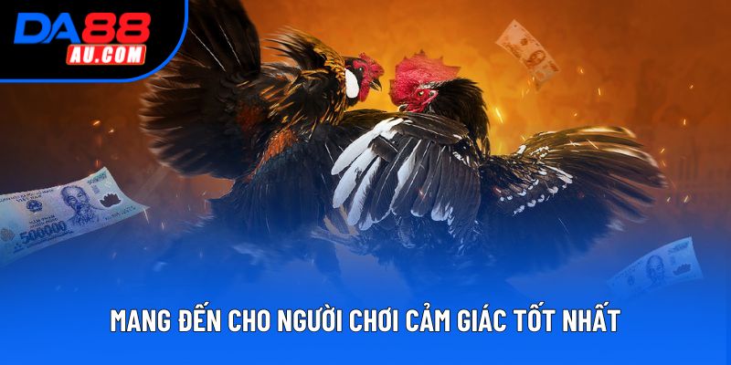 Mang đến cho người chơi cảm giác tốt nhất