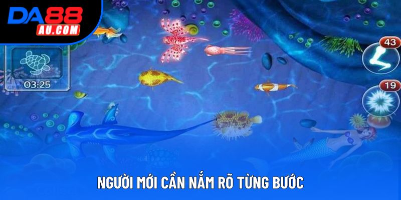 Người mới cần nắm rõ từng bước Người mới cần nắm rõ từng bước